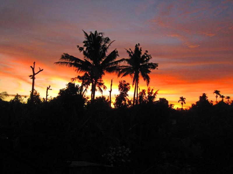 Nyoman Murjana Homestay Ubud Exterior foto